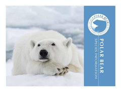 Polar Bear Adoption Kit|Trousse d’adoption – ours polaire