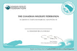 Beluga Whale Adoption Kit|Trousse d’adoption – béluga