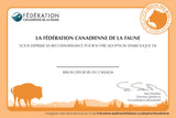 Bison Adoption Kit|Trousse d’adoption – bison
