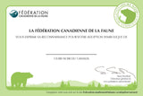 Black Bear Adoption Kit|Trousse d’adoption – ours noir