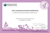 Monarch Butterfly Adoption Kit|Trousse d’adoption du monarque