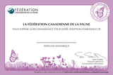 Monarch Butterfly Adoption Kit|Trousse d’adoption du monarque