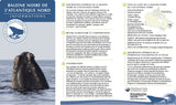 North Atlantic Right Whale Adoption Kit|Trousse d’adoption –  Baleine noire de l'Atlantique nord