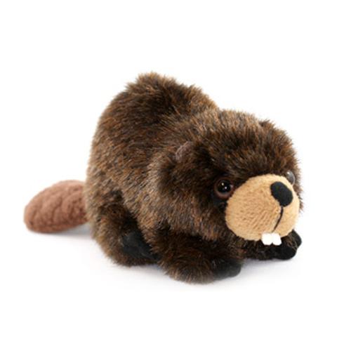 Beaver Adoption Kit|Trousse d’adoption – castor