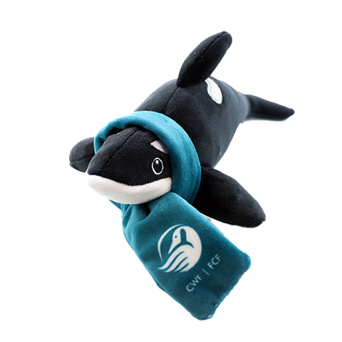 Killer Whale Adoption Kit|Trousse d’adoption – épaulard