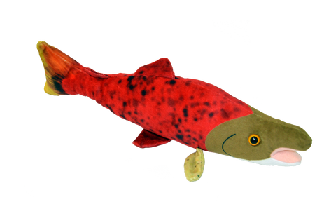 Saumon rouge