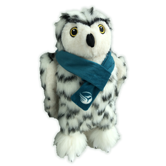 Snowy Owl Adoption Kit|Trousse d’adoption – harfang des neiges