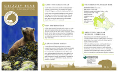 Grizzly Bear Adoption Kit|Trousse d’adoption – grizzli