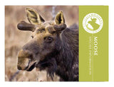 Moose informational brochure