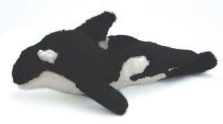 orca