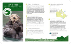 Sea Otter Adoption Kit|Trousse d’adoption – loutre de mer