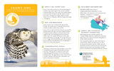 Snowy Owl Adoption Kit|Trousse d’adoption – harfang des neiges