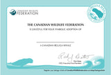 Beluga Whale Adoption Kit|Trousse d’adoption – béluga