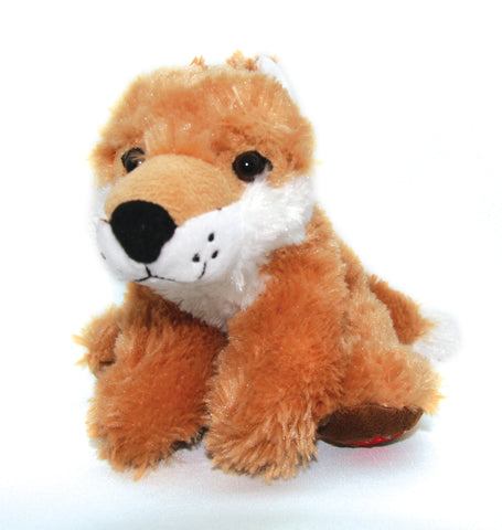 renard