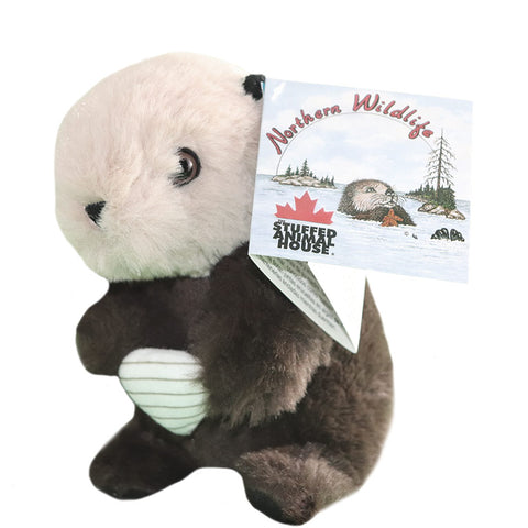 Loutre de mer