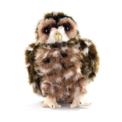 Spotted Owl adoption Kit|Trousse d’adoption – chouette tachetée